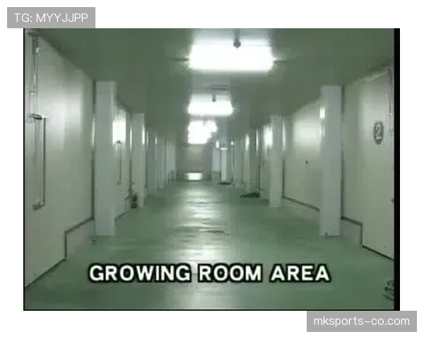 越位规则到底怎么判？三个关键点拆解清楚