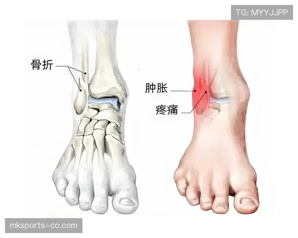 从争议视角解析违体犯规的判罚标准，如何准确认定球场上的危险动作？